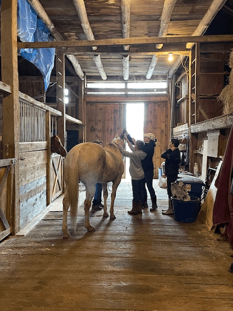 Lesson in the barn
