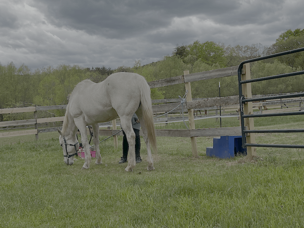 Lesson with Lilly