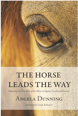 The Horse Leads the Way